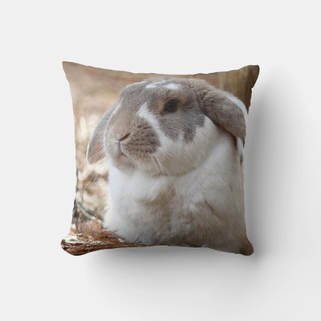Lop-eared bunny cushion (Front)