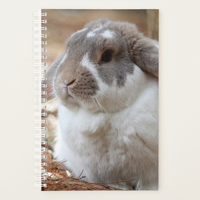 Lop-eared bunny planner (Front)