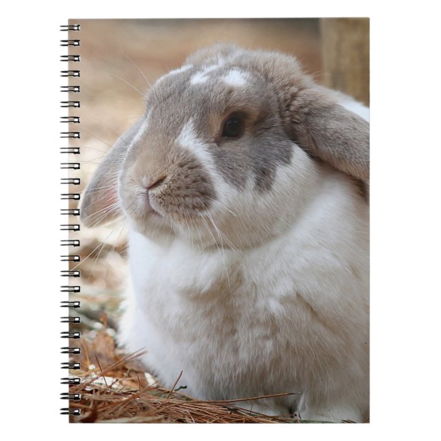 Lop-eared rabbit spiral notebook (Front)
