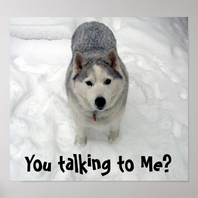 Lope You talking to Me? Poster (Front)