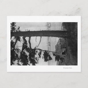 Lopez Island, WA - Fishing Boats In Bay Postcard