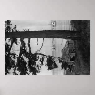 Lopez Island, WA - Fishing Boats In Bay Poster