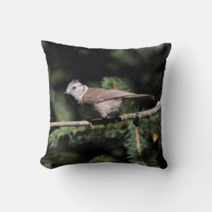Lophophanes cristatus cushion