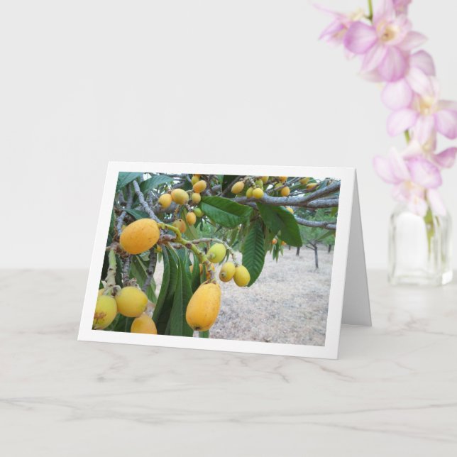 Loquat tree Portrait Card (Orchid)