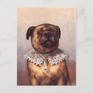 Lord Canine Postcard