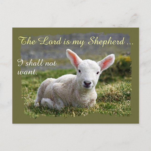 Lord is my Shepherd Little White Lamb Psalm 23 Postcard (Front)