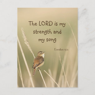Lord is my Strength & Song Scripture Song Bird Postcard