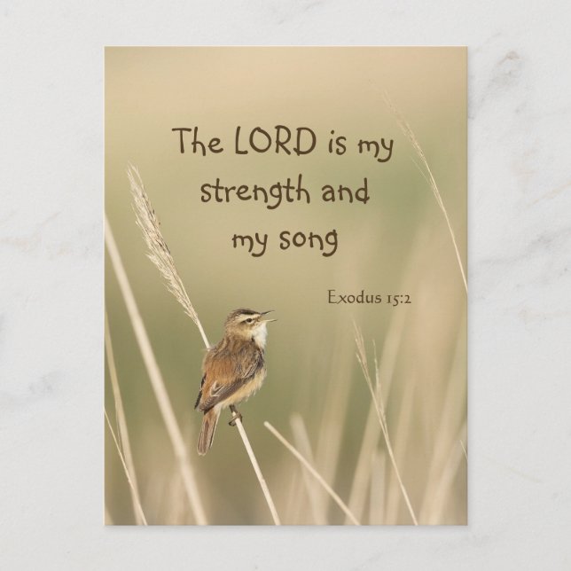 Lord is my Strength & Song Scripture Song Bird  Postcard (Front)