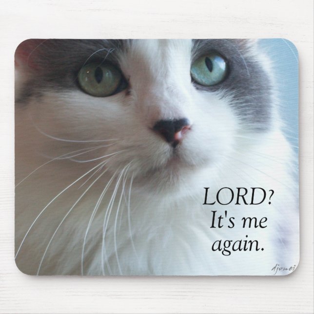 Lord, It's me again Praying Cat Meme Mouse Pad (Front)