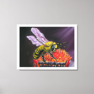 Lord of Honey Canvas Print