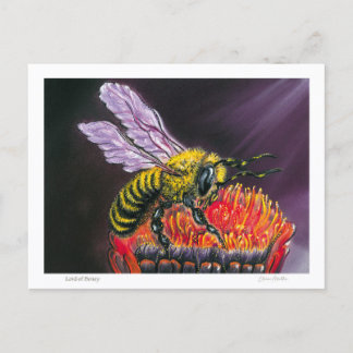 Lord of Honey Postcard