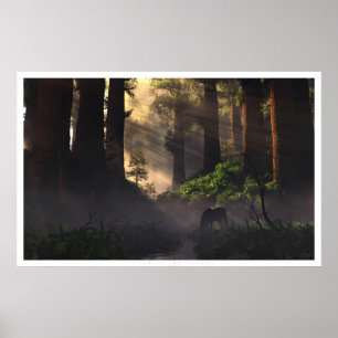 Lord of the Forest Poster