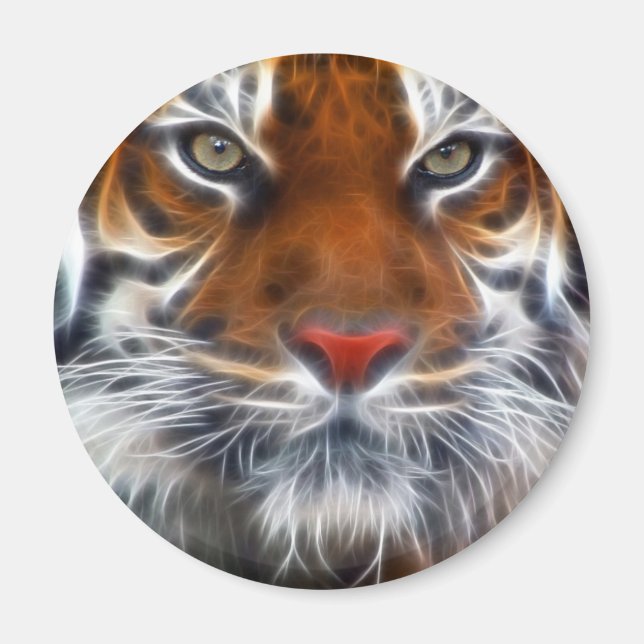 Lord of the Indian Jungles, The Royal Bengal Tiger Magnet (Front)