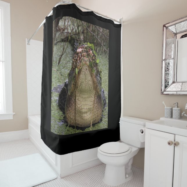 Lord of the Shower Curtain (In Situ)