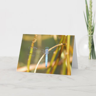 Lord Of The Swamp Card