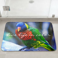 Lorikeet Bird Live Life In Colour Red Blue Green