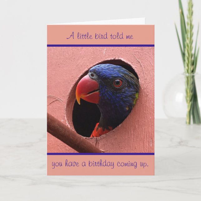 lorikeet birthday card (Front)