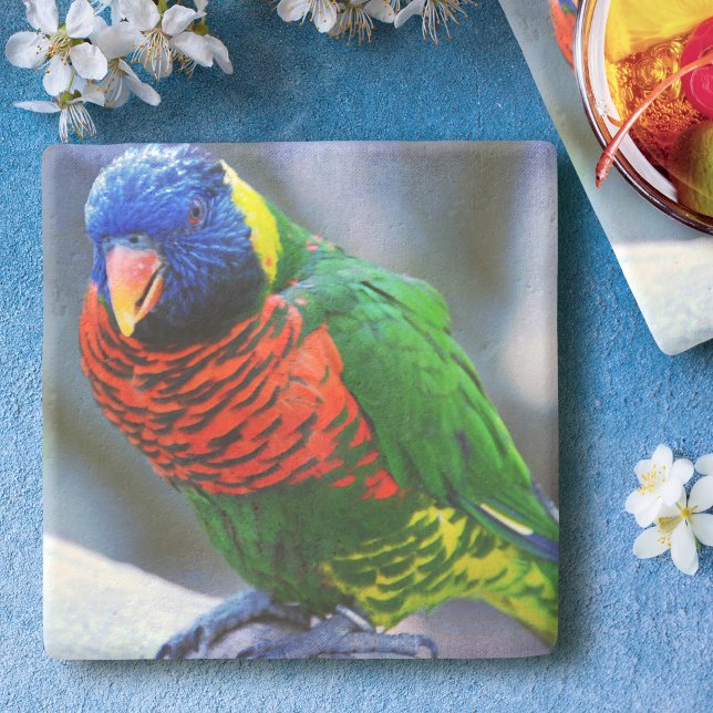Lorikeet red green yellow blue bird photo modern stone coaster (Creator Uploaded)