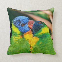 Lorikeets in Love