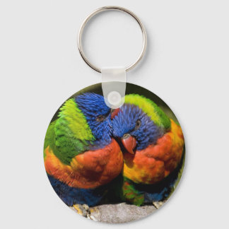 Lorikeets in Love Key Ring