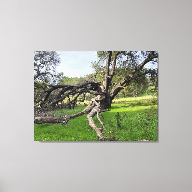 Los Altos Hills Canvas Print (Front)