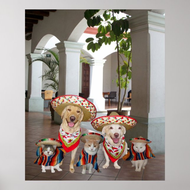 Los amigos poster (Front)