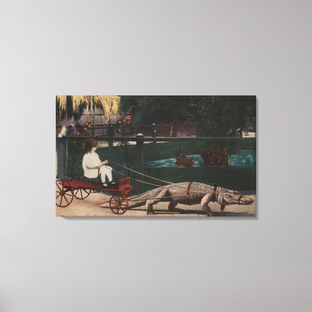 Los Angeles, CAAlligator FarmPulling Girl Canvas Print (Front)