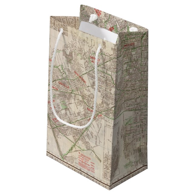 Los Angeles, California 2 Small Gift Bag (Back Angled)