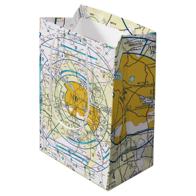 Los Angeles Flyway Chart Medium Gift Bag (Back Angled)