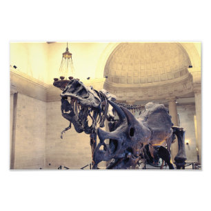 Los Angeles Natural History Museum Photo Print