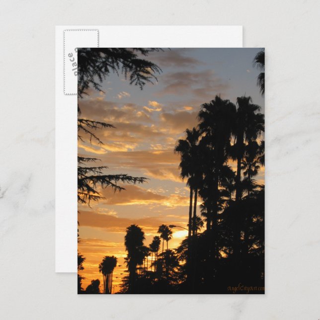 Los Angeles Palm Tree Sunset Postcard (Front/Back)