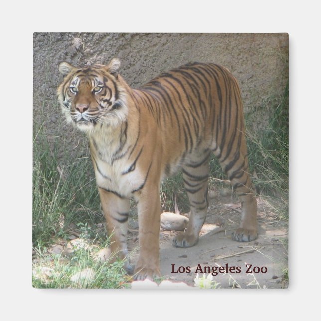 Los Angeles Zoo Magnet! Magnet (Front)