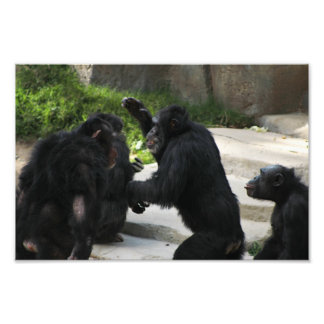 Los Angeles Zoo Photo Print