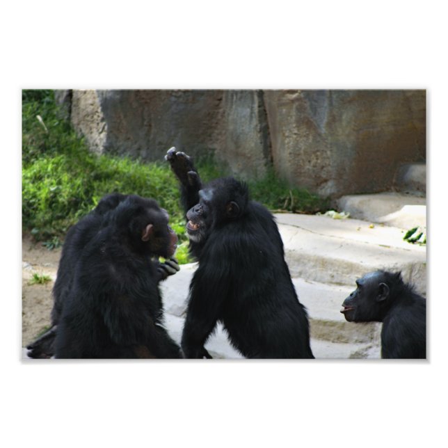 Los Angeles Zoo Photo Print (Front)