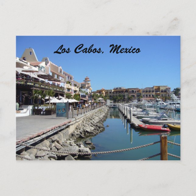 los cabos postcard (Front)