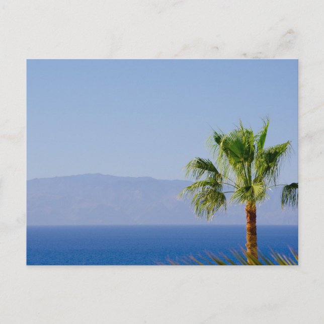 Los Gigantes, Tenerife Postcard (Front)