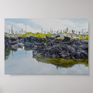 Los Tuneles, Galapagos Islands, Ecuador Poster