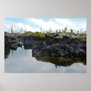 Los Tuneles in the Galapagos Islands Poster