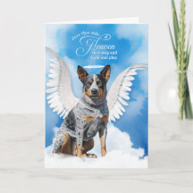 Loss of a Australian Cattle Dog Pet Sympathy