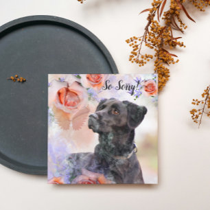 Loss of a Pet Dog Card