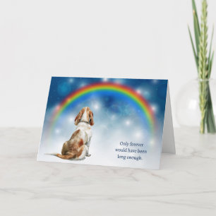 Loss of Basset Hound Dog Night Rainbow Sympathy Holiday Card