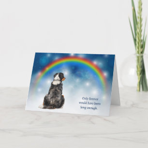 Loss of Bernese Mountain Dog Night Sky Sympathy Holiday Card