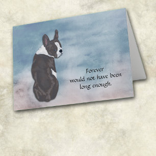 Loss of Boston Terrier Condolence Sympathy Card