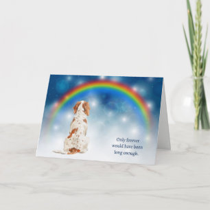 Loss of Brittany Dog Night Lights Sympathy Holiday Card