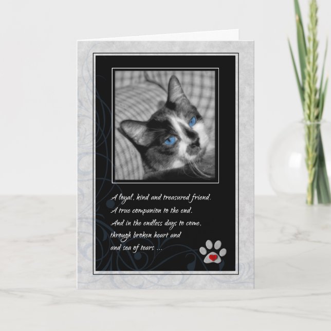 Loss of Cat Black and White Calico Pet Sympathy Card (Front)
