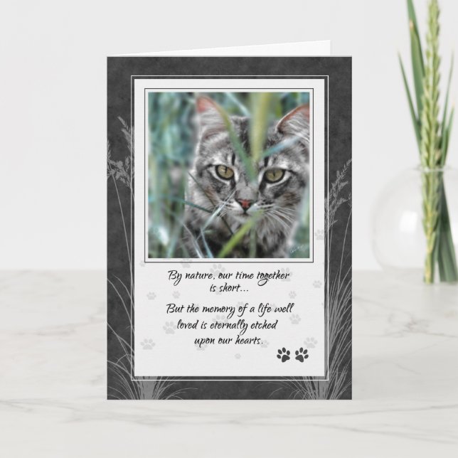  Loss of Cat Gray Tabby Pet Sympathy Card (Front)