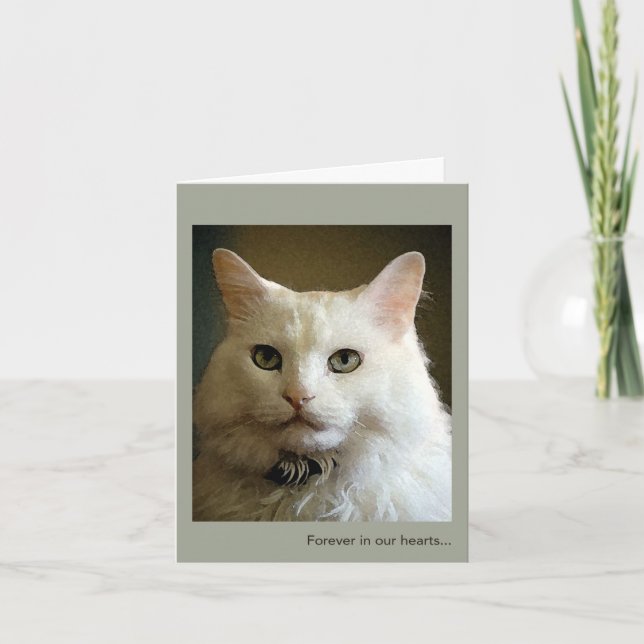 Loss of Cat Sympathy Card (Front)