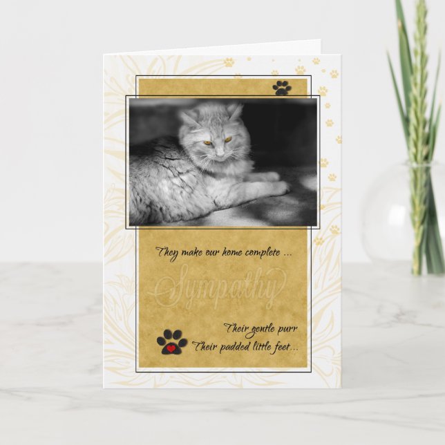 Loss of Cat Yellow and Black Pet Sympathy Card (Front)