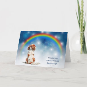 Loss of Cavalier King Charles Spaniel Night Lights Holiday Card