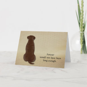 Loss of Chocolate Lab Condolence Sympathy Card